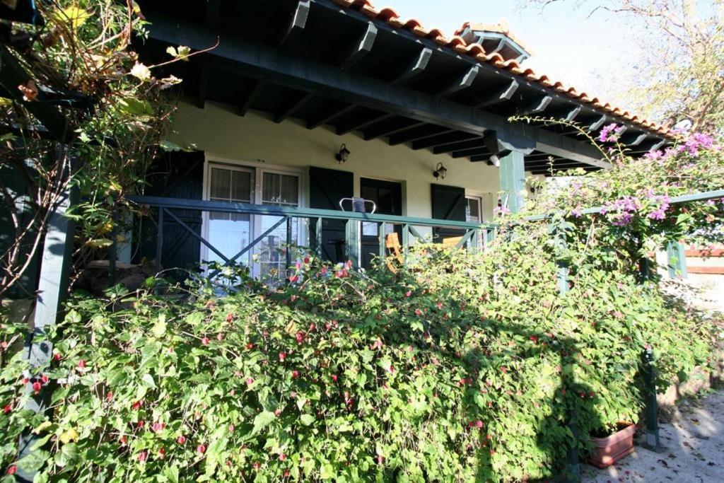 La Casa De Gene Villa Ruilobuca Luaran gambar